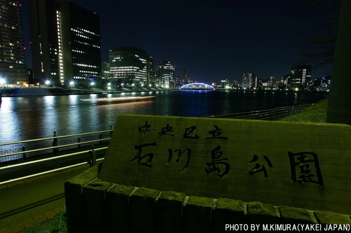 美しさ Lv2 0 石川島公園の夜景 夜景ワールド