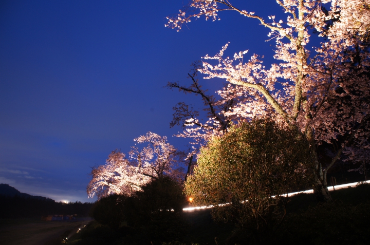 美しさ Lv2 0 狩野川さくら公園の夜景 夜景ワールド