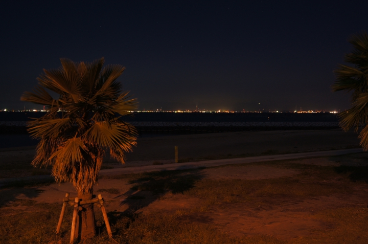 りんくうビーチ りんくう緑地 の夜景写真 夜景ワールド