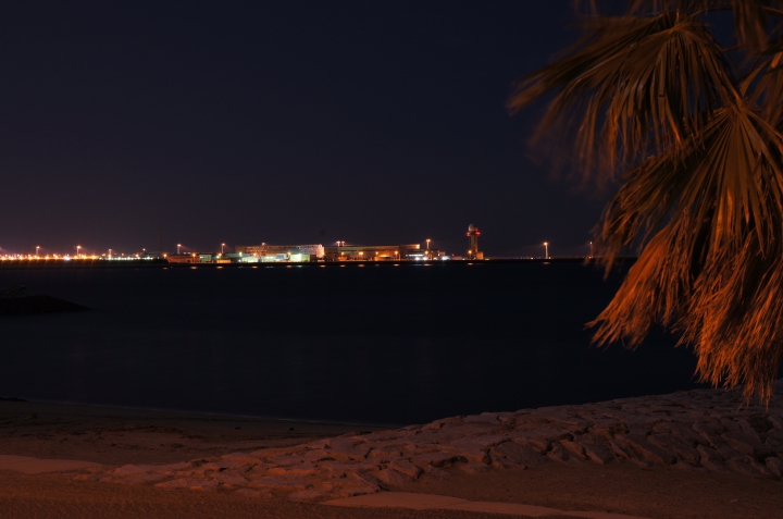 美しさ Lv1.0 】 りんくうビーチ（りんくう緑地）の夜景 夜景ワールド