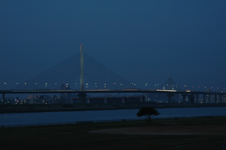 美しさ Lv1 0 かつしかハープ橋の夜景 夜景ワールド