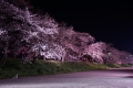 0004/./photo/updir0001_s/