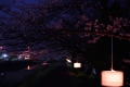 0004/./photo/updir0001_s/