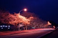 0004/./photo/updir0001_s/