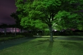 0004/./photo/updir0001_s/