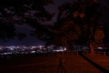 0004/./photo/updir0001_s/