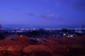 0004/./photo/updir0001_s/