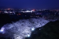 0004/./photo/updir0001_s/