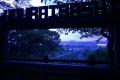 0004/./photo/updir0001_s/