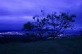 0004/./photo/updir0001_s/