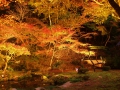 0004/./photo/updir0001_s/