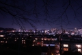 0004/./photo/updir0001_s/