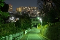 0004/./photo/updir0001_s/
